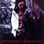 Lenny Kravitz - Are You Gonna Go My Way | Releases | Discogs