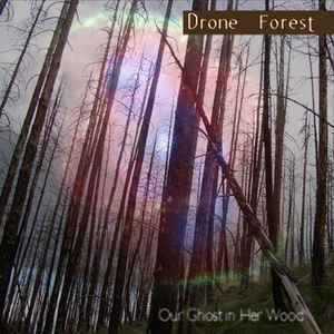 Drone Forest - Our Ghost In Her Wood album cover