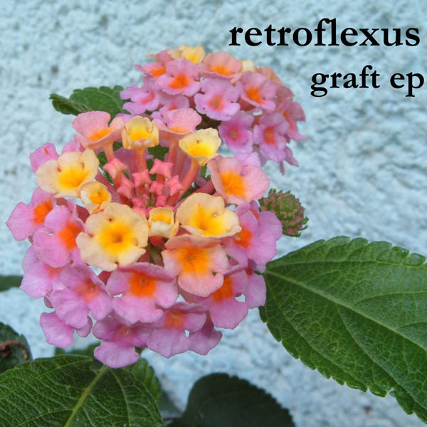 ladda ner album Retroflexus - Graft EP