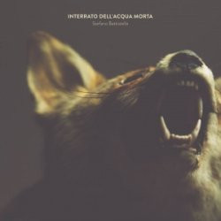 télécharger l'album Stefano Battistella - Interrato DellAcqua Morta