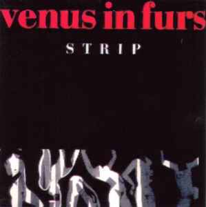 レコード VENUS IN FURS  REAL MORAL FIBRE