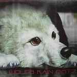 Yoko Kanno – Wolf's Rain O.S.T. 2 (2004, CD) - Discogs