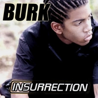 télécharger l'album Burk - Insurrection