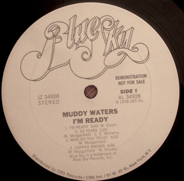 lataa albumi Muddy Waters - Im Ready
