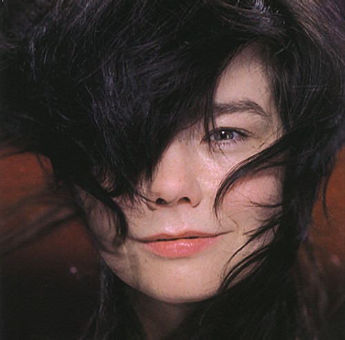 descargar álbum Björk - A Song From Vespertine Hidden Place