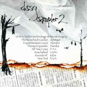 Various - DSSG - Der Sampler 2 album cover