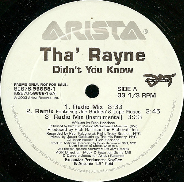 baixar álbum Tha' Rayne - Didnt You Know