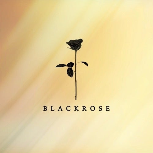 Black Rose Recordings image