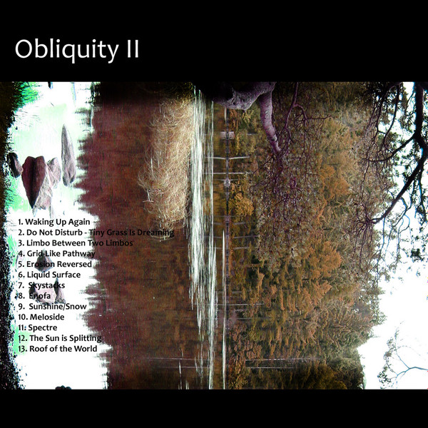 lataa albumi Obliquity - Obliquity II