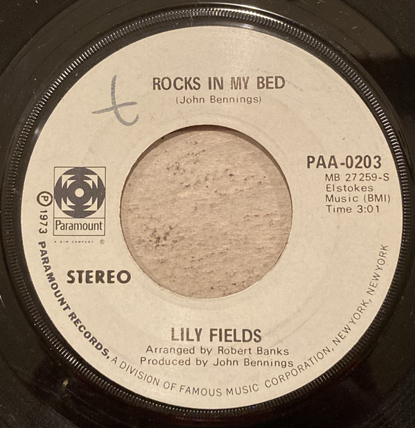 baixar álbum Lily Fields - Rocks In My Bed Ill Get Along Somehow