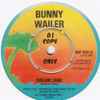 Bunny Wailer - Dream Land