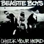 Cover of Check Your Head, 1992, Vinyl