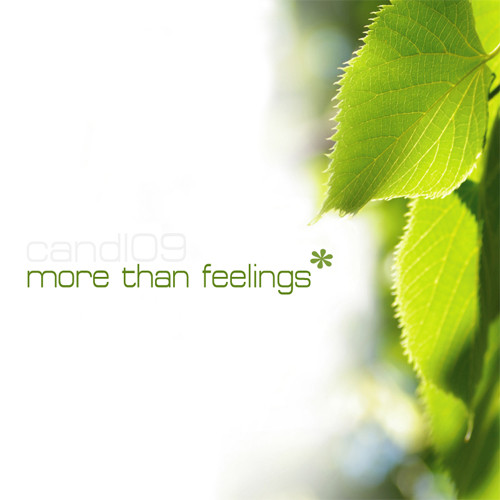 last ned album Various - More Than Feelings