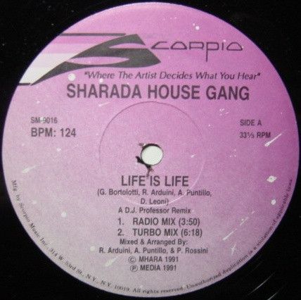 D.J. Professor Featuring Sharada House Gang - Life Is Life