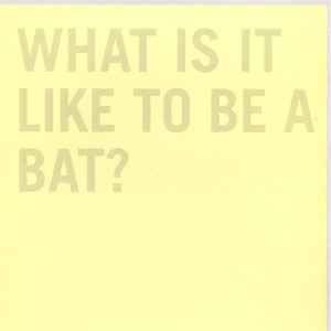 100Records - What It Is Like To Be A Bat? Album-Cover
