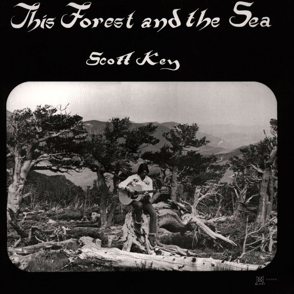 Scott Key – This Forest And The Sea (2013, Vinyl) - Discogs