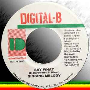 Singing Melody – Say What (2000, Vinyl) - Discogs