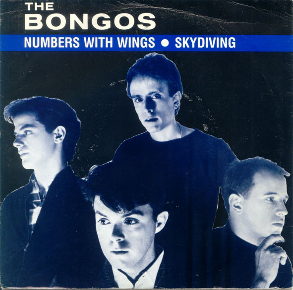 last ned album The Bongos - Numbers With Wings
