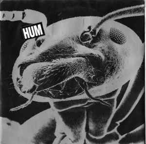 Hum (2) - Sundress