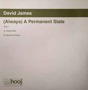David James - (Always) A Permanent State album cover
