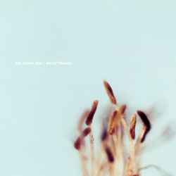 The Album Leaf – In An Off White Room (2001, CD) - Discogs