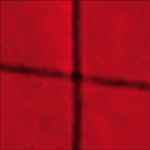 Cover of A Red Score In Tile, 2003-06-00, Vinyl