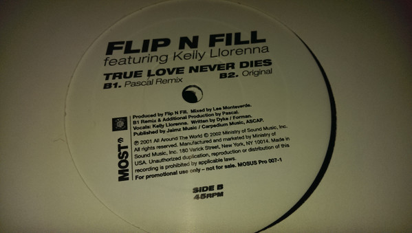 True Love Never Dies (feat. Kelly Llorenna) - Album by Flip & Fill