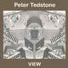 Peter Tedstone - View