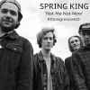 Spring King - Not Me Not Now