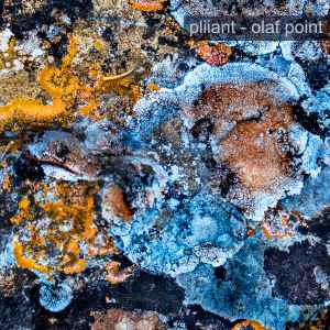 Pliiant - Olaf Point album cover