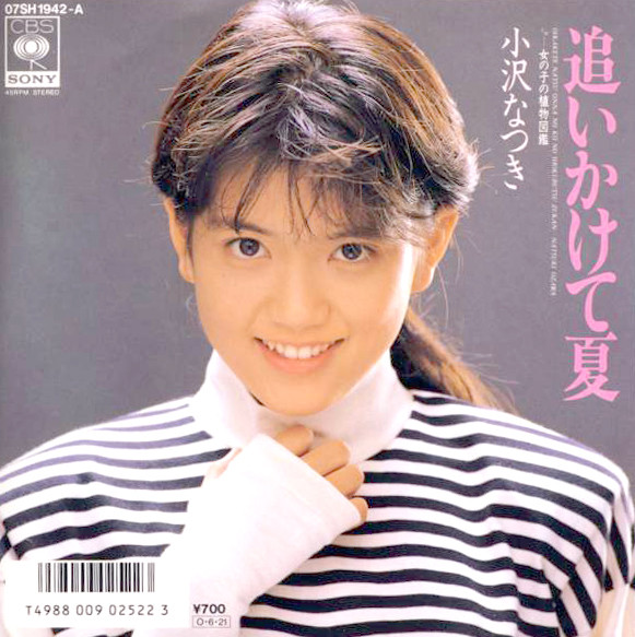 小沢なつき – 追いかけて夏 (1987, Vinyl) - Discogs