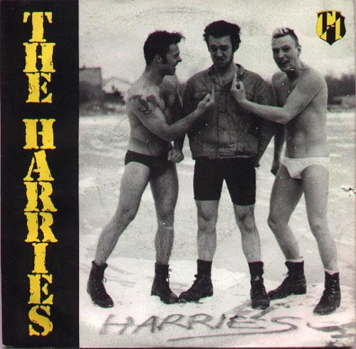 descargar álbum The Harries - Dont Go For That