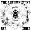 The Autumn Stone (2) - Beautiful Freaks Bee​-​Sides