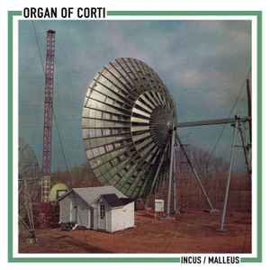 Organ Of Corti - Incus / Malleus album cover