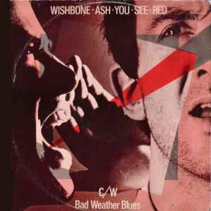 Wishbone Ash - You See Red album cover