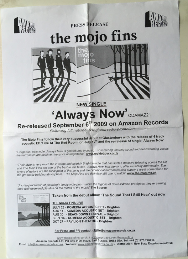 Album herunterladen The Mojo Fins - Always Now