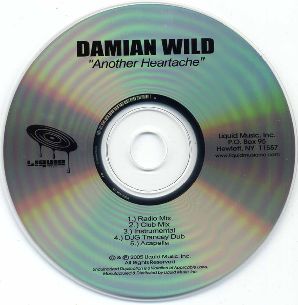 télécharger l'album Damian Wild - Another Heartache