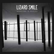 Lizard Smile - Wandering In Mirrors album cover