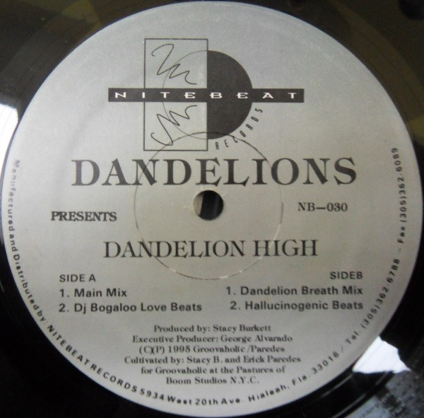 lataa albumi Dandelions - Dandelion High