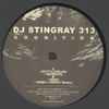 DJ Stingray 313* - Cognition