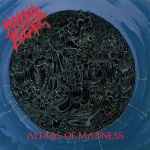 Cover of Altars Of Madness, 1990, CD