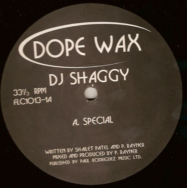 lataa albumi DJ Shaggy - Special Fractal Core