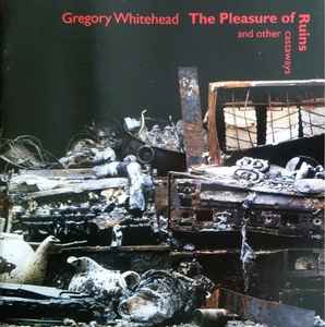 The Pleasure Of Ruins And Other Castaways - Gregory Whitehead