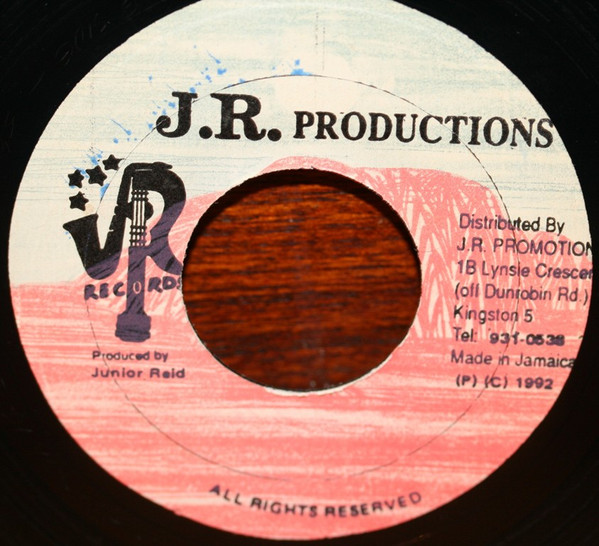 last ned album Junior Reid - The View