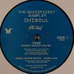 The Magnificent Sampler (2008, Vinyl) - Discogs