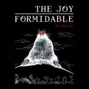 The Joy Formidable - The Big More album cover