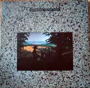 Schatten Voraus (Vinyl, LP, Album)zu verkaufen 