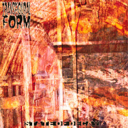 ladda ner album Transfigural Form - State Of Decay