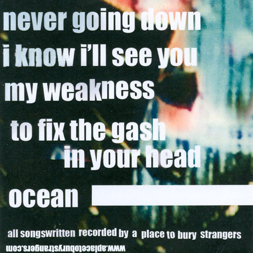 baixar álbum A Place To Bury Strangers - Never Going Down