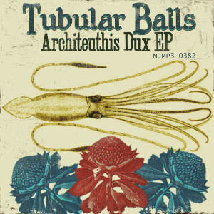 ladda ner album Tubular Balls - Architeuthis Dux EP